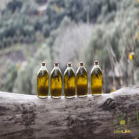 قیمت فروش روغن زیتون ایرانی با بهترین کیفیت